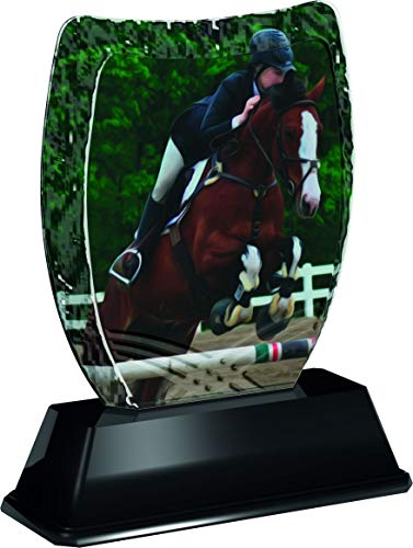 Trophy Monster Iceberg Equestrian Horse Riding Award Free - Placa grabada para trofeos en Lote, para Clubes y Ligas, Hecha de acrílico Impreso (3 tamaños), Multicolor, 140 mm