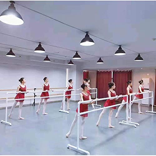 YZJL Barra de Ballet portátil Ajustable Barra elástica Independiente Sala de Baile Barras Dobles caseras para Bailar Fitness DesmontableMaterial para Ballet