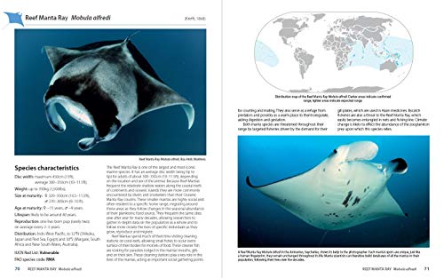 Guide to the Manta and Devil Rays of the World (Wild Nature Press)