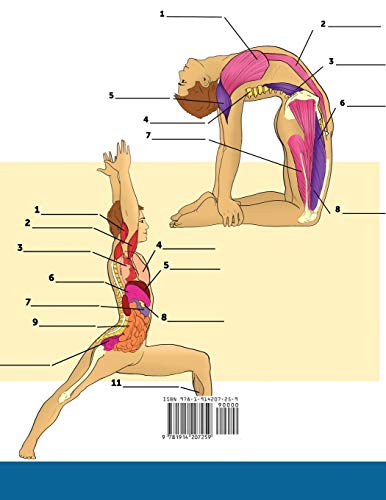 Libro Para Colorear de la Anatomía del Yoga: 3-en-1 Compilación | Más de 150 Ejercicios de Colores con Posturas de Yoga Para Principiantes, Intermedios y Expertos muy Detallados