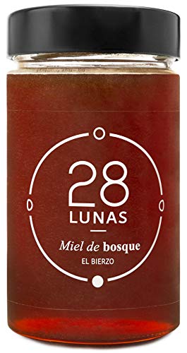 Miel de Bosque - 100% Natural Pura de Abeja, Cruda, 1Kg - Origen: El Bierzo, España