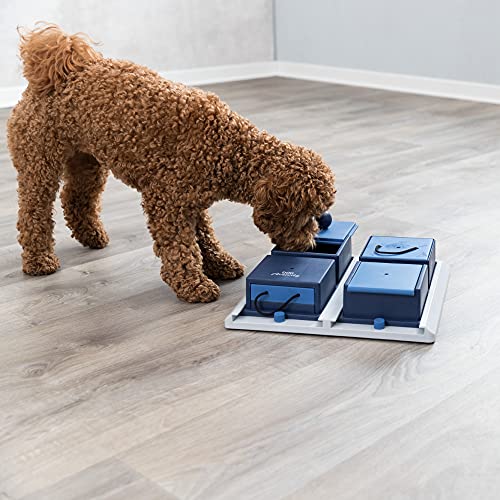 Trixie Dog Activity Juego Interactivo - Juguete Para Perros Accesorios Para Perros Dog Activity Poker Box 31x10x31 cm Nivel 2