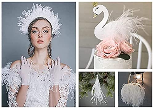Adornos de flecos de plumas de avestruz de 1,83 metros, para manualidades, disfraces, carnaval, Halloween, decoración de Handwerk (negro)