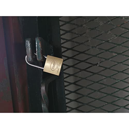 Amig - Candado de seguridad | Incluye 2 llaves | Arco largo | Latón y arco de Acero tratado | Para taquillas de gimnasio, puertas, armarios, maletas, mochilas | Ancho: 20 mm