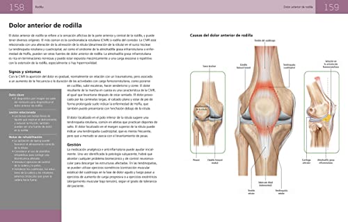 Anatomía de las lesiones deportivas : 65 lesiones comunes , Analizadas, explicadas e ilustradas (ANATOMIA/MEDICINA/SALUD)