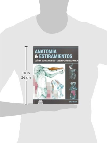 Anatomía & estiramientos. Guía de estiramientos. Descripción anatómica (Color) (Deportes)