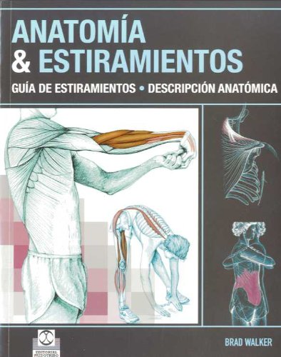 Anatomía & estiramientos. Guía de estiramientos. Descripción anatómica (Color) (Deportes)