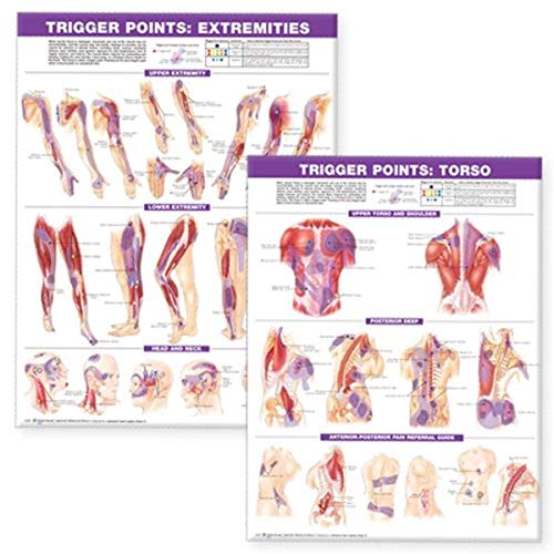 Anatomical Chart Juego de gráficos de puntos de gatillo: Torso y extremidades