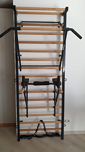 ARTIMEX Barra Triceps por espalderas - se Utiliza en hogares, gimnasios o centros de Fitness para Entrenamiento y Fitness, código 270 (Gris (RAL 7016))