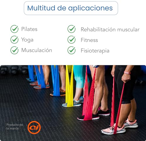 Bandas elasticas musculacion para Fitness, Yoga, Pilates, Fisioterapia y Rehabilitacion. Gomas elasticas musculacion con Diferentes Resistencia. Bandas elasticas Marca C+I.(Verde)