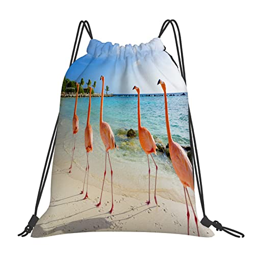 Bolsa con cordón para niños, gimnasio,Pájaro Flamenco Playa Aruba Isla Bonaire Caribe Sillas Exóticas Gratis,Mochila resistente al agua para playa, bolsa de cuerdas para deportes al aire libre, viajes