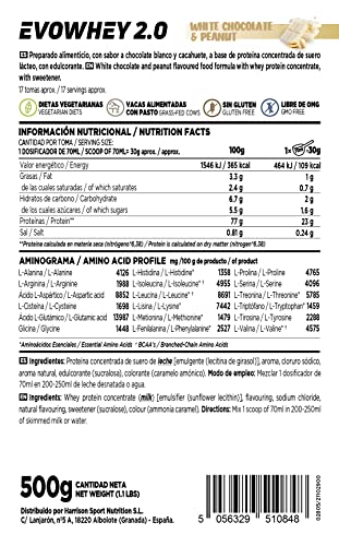 Concentrado de Proteína de Suero de HSN Evowhey Protein 2.0 | Sabor Chocolate Blanco y Cacahuete 500 g = 17 Tomas por Envase | Whey Protein Concentrate | No-GMO, Vegetariano, Sin Gluten ni Soja