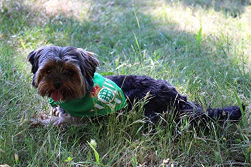 CYP Brands Bandana Artículo para Mascotas Producto Oficial Real Betis Pañuelo Ajustable y Anudable al Cuello de Poliéster y Color Verde