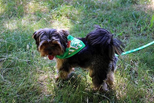 CYP Brands Bandana Artículo para Mascotas Producto Oficial Real Betis Pañuelo Ajustable y Anudable al Cuello de Poliéster y Color Verde