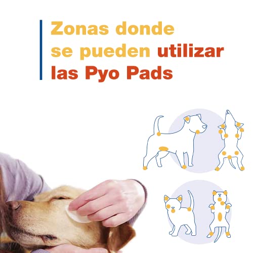 Douxo S3 Pyo Pads - Higiene de Perros y Gatos - Desinfectante de Piel Sana - Hidratante - Fragancia hipoalergénica - x30 Pads