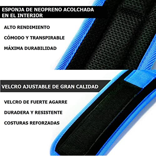 FEVAN 2 Tobilleras Poleas Gym Tobillera para Polea Acolchada de Velcro - Accesorios Gym Unisex (Azul)