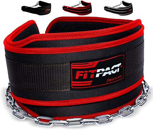 FITPACT Cinturón de inmersión con cadena ajustable de acero inoxidable de 30 pulgadas para levantamiento de potencia, culturismo, levantamiento de pesas, peso muerto, mentón con peso, entrenamiento de