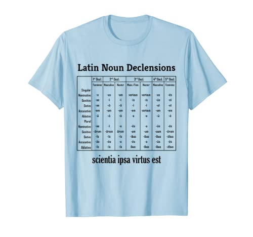 Gráfico de declinación de sustantivo latino para profesores de educación clásica Camiseta