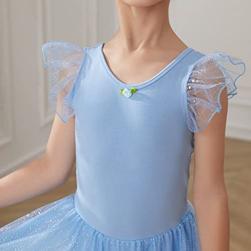 HIPPOSEUS Niña Maillot de Danza Lentejuelas Tutú Vestido de Ballet Gimnasia Leotardo Body Clásico para Niñas,Y05-Azul,8-9 Años