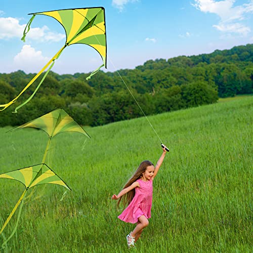 JOYIN Paquete de 2 Cometas Grandes Delta Kite Verde y Arco Iris fáciles de Volar, enormes Cometas para niños y Adultos con Cuerda de Cometa de 80 m, Beach para Juegos y Actividades al Aire Libre