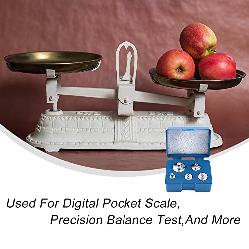 Juego de 5 pesas de calibración estándar de laboratorio, kits de peso de precisión con pinzas para medición de peso y calibración (105 g de peso total)