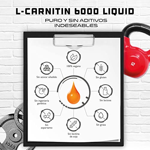 L-Carnitina 6000 Líquido - 1000 ml - Dosis extra alta con 6000 mg de L-Carnitina pura por porción diaria - Bebida Amino-Entrenamiento - Sabor delicioso (Orange Power) - Vegano