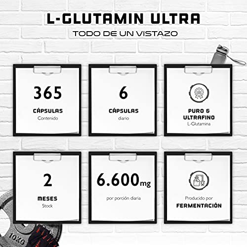 L-Glutamina - 365 Cápsulas - Dosificación extra alta con 1100 mg por cápsula - 6600 mg por ración diaria - L-Glutamina pura y ultrafina - Sin aditivos indeseables