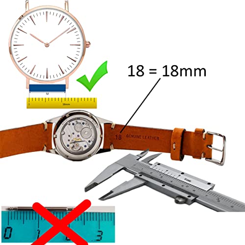 masar Premium - Barras de resorte para reloj, Standard Slx Ø 1,5 mm Inox 316L - 0,8 mm 2 Pcs, 20mm