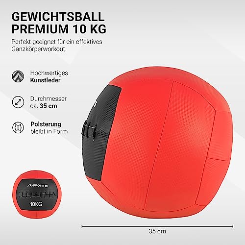 MSPORTS Balón Medicinal Premium Wall-Ball de 2-10 kg, Medicinal