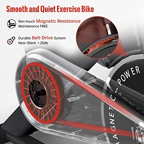 PASYOU Bicicleta Estática Magnética para Bici en Casa con Correa de Transmisión con Pantalla de RPM y Soporte para IPAD - Capacidad de Peso de 150 KG