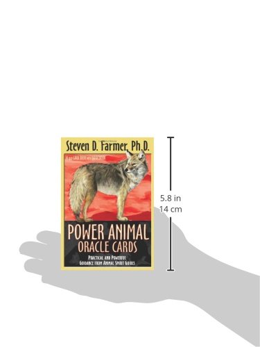 Power Animals Oracle Cards: Practical And Powerful Guidance from Animal Spirit Guides