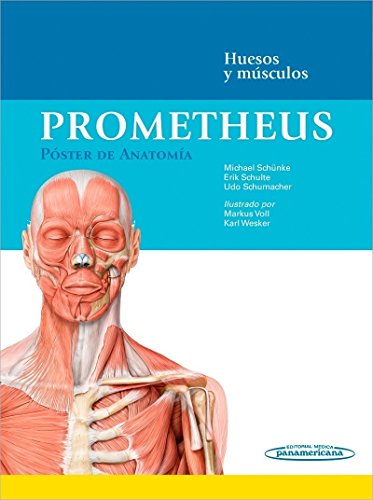Prometheus. Poster de anatomia: Huesos y músculos