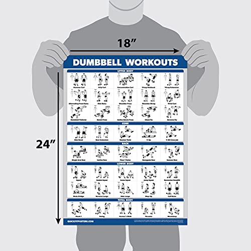 QUICKFIT Juego de pósteres de ejercicios con mancuernas y ejercicios de barra, juego de 2 tablas laminadas, rutina de ejercicio con mancuernas y entrenamientos con pesas (18 x 27 pulgadas)