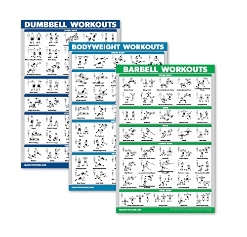 QuickFit Paquete de 3 ejercicios con mancuernas + ejercicios de peso corporal + póster de rutina con barra – Juego de 3 tablas de entrenamiento (Laminado, 18 x 27 pulgadas)