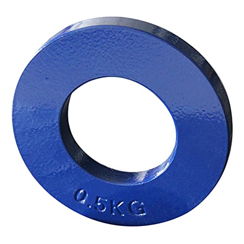 RUANI Pesas fraccionarias Pesos fraccionarios Mini Discos con Pesos Discos para Entrenamiento de Fuerza Accesorio para Discos Precisos Azul 0,5 Kg