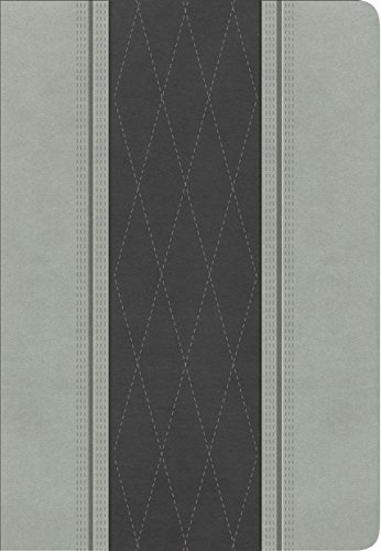 RVR 1960 Biblia Letra Grande Tamaño Manual, gris claro/gris carbón símil piel
