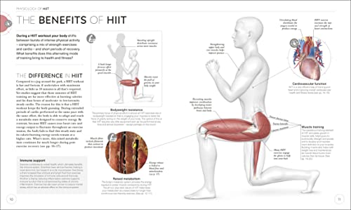 Science of HIIT: Understand the Anatomy and Physiology to Transform Your Body