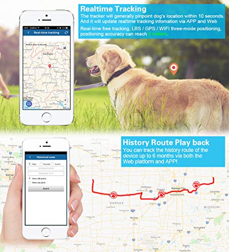 TKMARS GPS Tracker Collar Perros para Perros de Caza Vaca Oveja 3000mAh IP66 Impermeable Farm Pet Tracker Collar de Animales Grandes con aplicación Gratuita sin suscripción