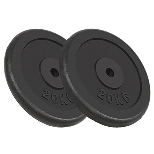 vidaXL 2X Discos de Pesas de Hierro Fundido 2x20 kg Fitness Musculación Gimnasio