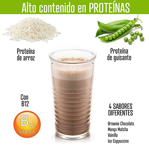Weider-Vegan Protein- Proteína 100% vegetal de guisantes (PISANE) y arroz. Sin gluten. Sin lactosa. Sin aceite de palma (18 sobres de 30g). Pack Multisabor