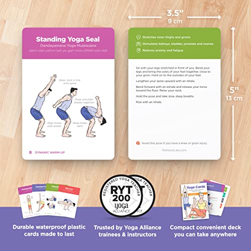 WorkoutLabs Tarjetas plásticas de Yoga con Lengua sánscrito para Principiante Estudio Visual, secuenciación de Clases, práctica con posturas, Ejercicios de respiración y meditación