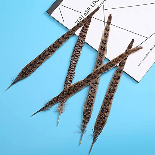 Zeayebsr 20 piezas de plumas de cola de faisán naturales de 20-25 cm para bodas, decoraciones para fiestas de cumpleaños
