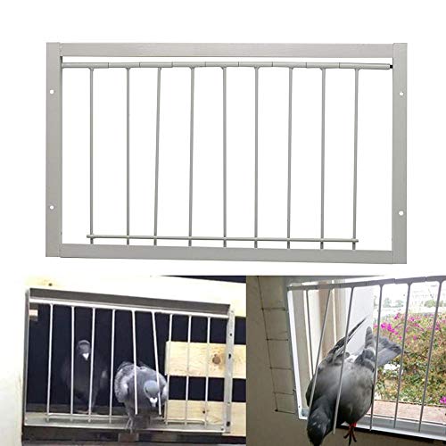 26 cm (tal) 40 cm (largo) T-trampa para palomas pájaros puerta de la casa paloma pájaros puerta paloma galleta para la venta jaula de pájaros jaula de paloma proveedor