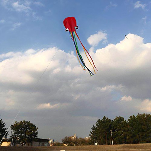 2pcs Cometa de ZoomSky de Iris de Triangular y Pulpo bagre Color Vario Rainbow de Volar con Viento Suave para los niños y Adultos (Triangular y Pulpo)