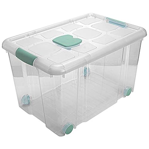 Acan Tradineur - Caja de Almacenamiento - Fabricado en plástico - Contenedor para almacenar juguetes, Libros, ropa, mantas - N.º 4-35,7 x 59 x 40,5 cm - 55 Litros
