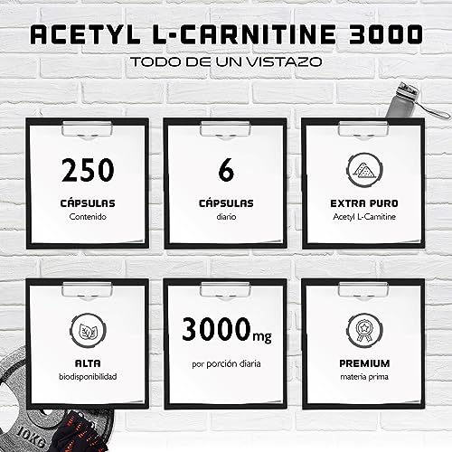 Acetil L-Carnitina 3000 con 250 cápsulas - 3000 mg por porción diaria - Premium: L-Carnitina en forma de acetilo - Altamente dosificada - Vegano
