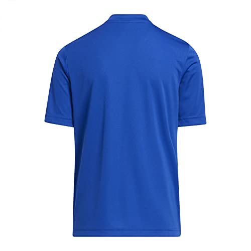 adidas Entrada 22 Graphic Jersey T-Shirt, Unisex Kids, Team Royal Blue/App Sky Rush, 910A