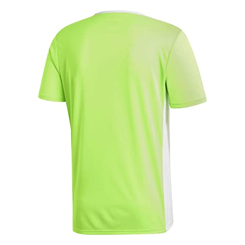 adidas Entrada 91 Camiseta de Manga Corta, Hombre, Verde (Solar Green/White), XS