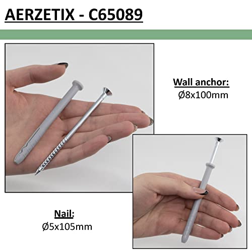 AERZETIX - C65089 - Juego de 25 Tacos clavos/golpe Ø8x100mm + 25 tornillos con cabeza fresada Ø5x105mm con brida - en nylon y metal - para fijación de hormigón ladrillo materiales sólidos taladrado