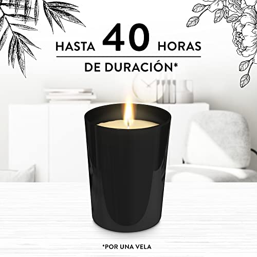 Air Wick Vela Aromática Perfumada con aroma a Vainilla y Coco Tostado, hasta 40 horas de duración, 220gr